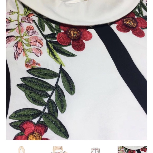 Ted Baker White Embroidered Dress - Picture 2 of 3